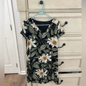 Ann Taylor dress size SP